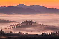 Valley fog in Pieniny Mountains at dawn. Poland. October 2015.