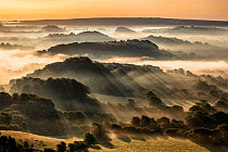 Misty sunrise viewed from Quarr Hill. Bridport, Dorset, England, UK.