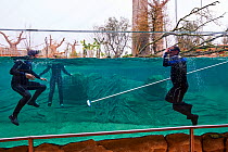 Zookeepers cleaning the hippo tank, Beauval Zoo, Saint-Aignan, France.