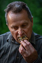 Tree beekeeper Andrzej Pazura tasting his freshly harvested honey. Tree hive beekeeping is a traditional practice that dates back 1000 years, Poland.