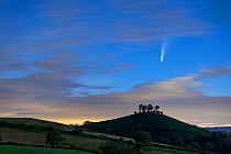 Comet C/2020 F3 Neowise over Colmer&#39;s Hill , Bridport, Dorset, UK. July 2020