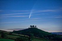 Comet C/2020 F3 Neowise over Colmer&#39;s Hill , Bridport, Dorset, UK. July 2020