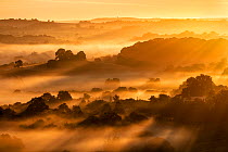 Sunrise over the Blackmore Vale from Cadbury Castle, South Cadbury, Somerset, England, UK, May 2020.