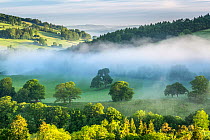 Usk Valley near Crickhowell, Brecon Beacons National Park, Powys, Wales, UK, June.