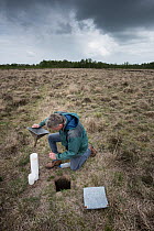 Researcher emptying Ground beetles (Carabidae) from pitfall trap. Long-term monitoring has revealed a 72 percent reduction in Ground beetle numbers in past 22 years. Dwingelderveld National Park, The...