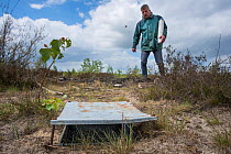 Pitfall trap used for weekly trapping of Ground beetles (Carabidae), researcher approaching in background. Long-term monitoring. has revealed a 72 percent reduction in Ground beetle numbers in past 22...