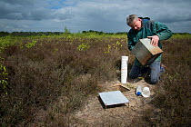 Researcher emptying pitfall trap used to collect Ground beetles (Carabidae). Long-term monitoring has revealed a 72 percent reduction in Ground beetle numbers in past 22 years. Dwingelderveld National...