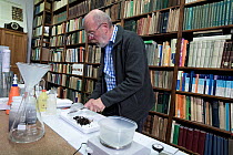 Entomologist with Insect sample in tray prior to weighing, reference books in background. Long-term monitoring has revealed a 75% decline in insect biomass over 27 years. Entomological Society Krefeld...
