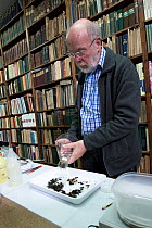 Entomologist tipping Insects caught in malaise trap into tray, reference books in background. Long-term monitoring has revealed a 75% decline in insect biomass over 27 years. Entomological Society Kre...
