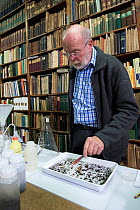 Entomologist sorting through Insect sample in tray, reference books in background. Long-term monitoring has revealed a 75% decline in insect biomass over 27 years. Entomological Society Krefeld, Germa...