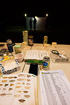 Identification guides and equipment laid out during insect trapping and identification session at night, researchers silhouetted at trap in background. Long-term monitoring has revealed a 50% decline...