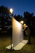 Researcher using pooter to collect insects during trapping session, insects attracted by light to white sheet. Long-term monitoring has revealed a 50% decrease in moth numbers in 25 years. De Kaaistoe...