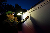 Researcher using pooter to collect insects during trapping session, insects attracted by light to white sheet. Long-term monitoring has revealed a 50% decline in moths over 25 years. De Kaaistoep Natu...