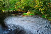 A vortex of foam and autumn leaves on Ohne river in Valgamaa county, Southern Estonia.