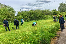 People on a Bug Life Bee ID Field class, RSPB Newport Wetlands, Monmouthshire, Wales, UK, June.