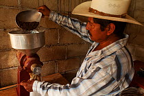 Man grinding coffee beans, Conservation Coffee, Rancho El Porvenir, Nuevo Paraso, Chiapas, southern Mexico, April 2015