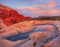 Red sandstone formations rise from surrounding Mojave Desert with reflection in &#39;pot hole pools&#39; at sunset, Red Rock Canyon National Conservation Area, Nevada, USA.