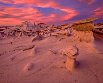 Hoodoo cap-rock formations of sandstone on softer clay at sunrise. Bisti Badlands Wilderness, New Mexico, USA.