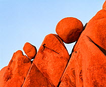 Granite boulders, weathered and rounded seemingly carefully placed amid angled spires. Joshua Tree National Park, California, USA