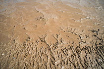 Mud patterns revealed at low tide on the Severn Estuary, Portishead, UK, May 2020.