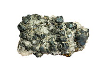 Tennantite, copper arsenic sulfosalt mineral, found in Zacatecas, Mexico against white background