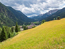 View across meadow in Fassa Valley to Campitello di Fassa. Dolomites, Trentino, Italy. July 2019.