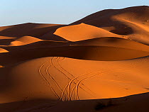 Tyre tracks on sand dunes of Erg Chebbi, shadows in morning light. South Morocco. October 2019.