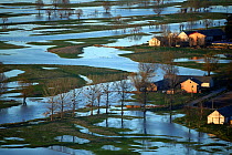 Flooded farmland with scattered trees and houses. Near Biebrza National Park, North West Poland. April 2013.