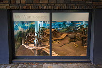 Enriched indoor enclosure for Giant panda (Ailuropoda melanoleuca) &#39;Wu Wen&#39;, Ouwehands Zoo, Rhenen, The Netherlands.