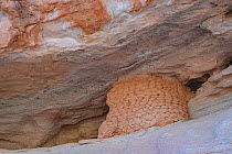 Food store built on rock face by Fremont people, made from clay bricks. Near Capitol Reef National Park, Utah, USA. February 2020.