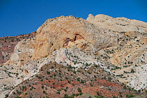 Waterpocket Fold, Navajo sandstone monocline. Capitol Reef National Park, Utah, USA. May 2020.