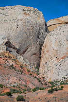 Rock face on Waterpocket Fold, a Navajo sandstone monocline. Capitol Reef National Park, Utah, USA. May 2020.