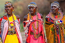 Maasai women singing, wearing traditional dress with with bead jewellery. Maasai Mara National Reserve, Kenya. 2007.