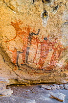 Pictographs depicting people with arms in air alongside Deer / Antelope. Cueva La Pintada cave paintings, Sierra de San Francisco, El Vizcaino Biosphere Reserve, Baja California Sur, Mexico. 2020.