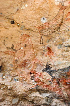 Pictographs depicting Whale, Sheep, Deer / Antelope and people. Cueva La Pintada cave paintings, Sierra de San Francisco, El Vizcaino Biosphere Reserve, Baja California Sur, Mexico. 2020.