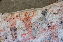 Pictographs depicting people with arms in air and animal, possibly a Coyote. Dating from 10,000 years ago. El Palmarito cave paintings, Sierra de San Francisco, El Vizcaino Biosphere Reserve, Baja Cal...