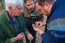 Researchers examining Raptor pellets to identify eaten prey. Part of a 60 year long-term study led by Fred Koning to monitor raptors and their nests in a 3,400 hectare area of coastal dunes. Near Amst...