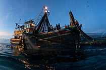 Commercial purse seiner hauling in the nets at first light, Andaman Sea, Thailand, Krabi Province, Thailand, December 2015.