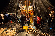 Fishing crews aboard a Thai commercial purse seiner hauling in nets at night, Krabi Province, Thailand, December 2015 Editorial use only.