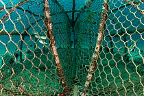 Opening of fish trap on the seafloor, Hat Nophparat Thara, Mu Koh Phi Phi National Park, Krabi Province, Thailand, February 2019.