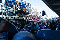 Plastic drums are unloaded to the fish landing site from commercial purse seiner by workers, Songkhla Province, Thailand, August 2013