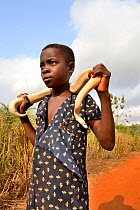 Girl holding a leucistic Ball or Royal python (Python regius) around her shoulders, Togo.