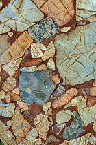 Leesburg limestone conglomerate rock. Fragments of Paleozoic limestone, dolomitic limestone, quartzite, quartz, schist, slate, and greenstone in matrix cemented by calcite formed in a Triassic half-gr...