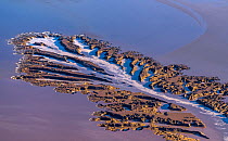 Aerial view of alluvial patterns in tidal mudflats of Colorado River Delta, where there is tidal encroachment from the Gulf of California. Waterfalls approximately 8 feet high pour off the delta with...