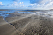 Landscape of the Somme bay at low tide, sand and wind, North France. February 2020