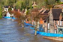 Flood barrier holding back flooded River Severn along street in Ironbridge. After Storm Ciara and Storm Dennis, the wettest February recorded in the UK. Shropshire, England, UK. February 2020.