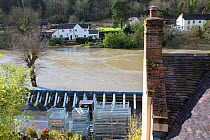 Environment Agency flood defences alongside River Severn in flood conditions. After Storm Ciara and Storm Dennis, the wettest February recorded in the UK. Ironbridge, Shropshire, England, UK. February...