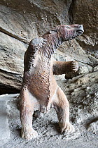 Giant sloth statue at Milodon Cave Natural Monument, remains of the Giant ground sloth (Mylodon darwini) were discovered within the caves. Magallanes, Chile. 2020.