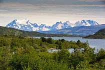 Lago del Toro surrounded by forest, mountains in background. Torres del Paine National Park, Patagonia, Chile. January 2020.