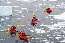 Tourists from expedition cruise ship sea kayaking amongst sea ice. Off Vernadsky Station, Galindez Island, Antarctica. January 2020.